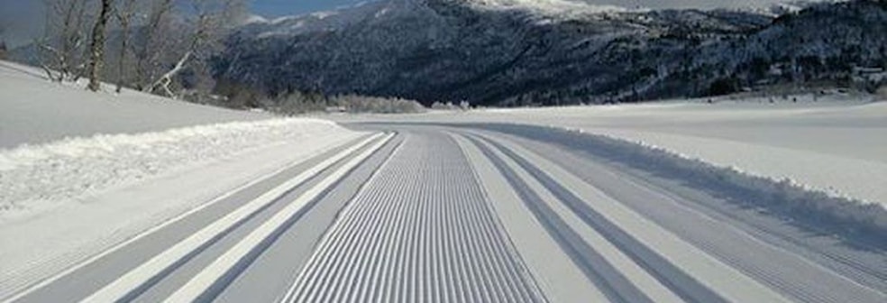 Tjønnbakkrennet
